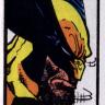 Retrato de wolverine222 Retrato de wolverine222